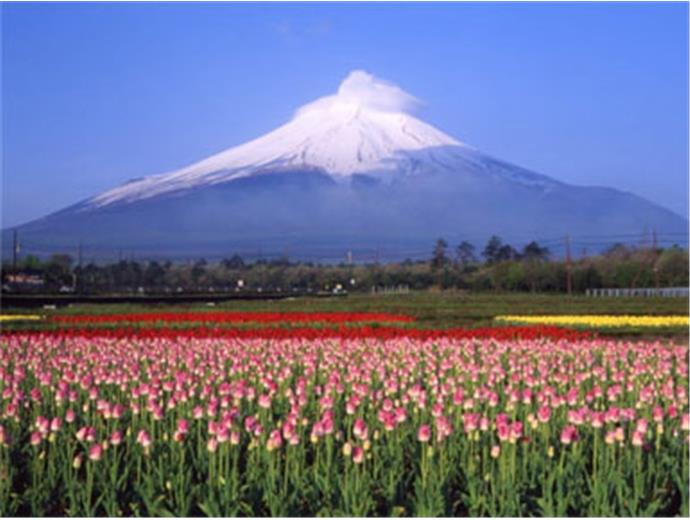 日幣大貶值！快去日本旅遊和學日文